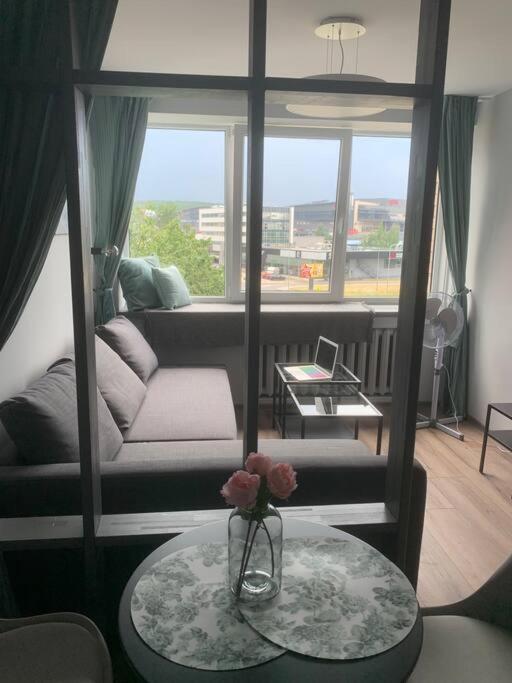 Apartment Near Ozas VNO Exterior foto